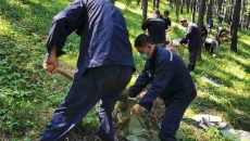 �����-(�й�)��������,��������