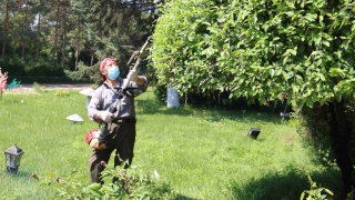 20200812  �׿����04