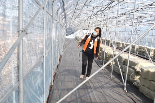 ΢ͼƬ_20210507145238