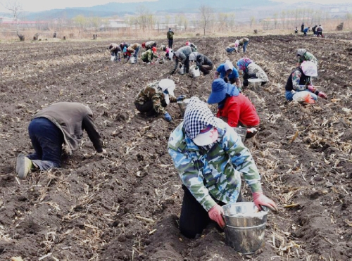 ΢ͼƬ_20210513111411