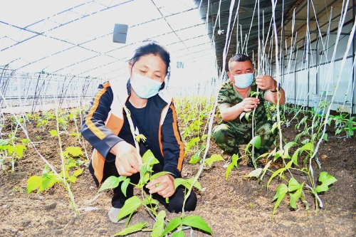 ΢ͼƬ_20210518092545