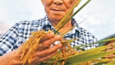 �����-(�й�)��������,��������