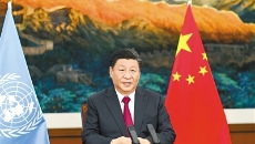 �����-(�й�)��������,��������