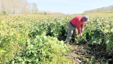 �����-(�й�)��������,��������