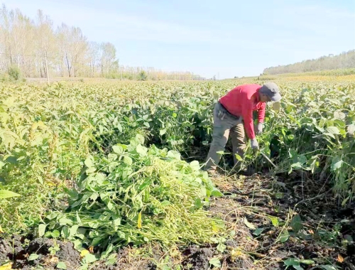 ΢ͼƬ_20211012131750