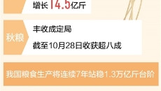 �����-(�й�)��������,��������