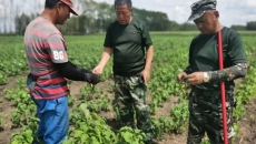 �����-(�й�)��������,��������