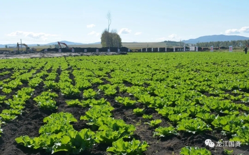 ΢ͼƬ_20220921075911