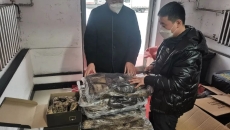 �����-(�й�)��������,��������