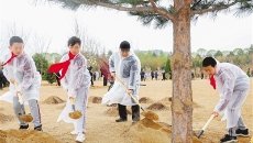 �����-(�й�)��������,��������