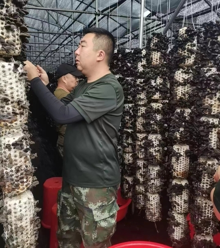 ���ɹ�ó��ľ��-1