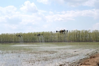 ΢ͼƬ_20231017221352