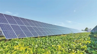 ΢ÐÅͼƬ_20231105003901 ΢ÐÅͼƬ_20231105003901