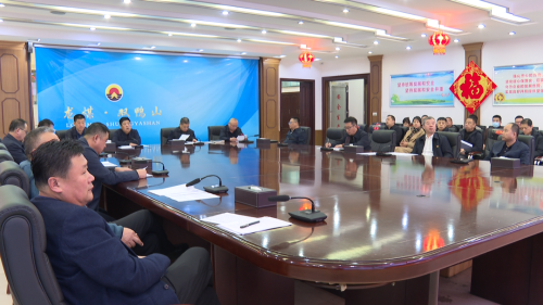 ��˾����������Ƶ����ǿ��11.3