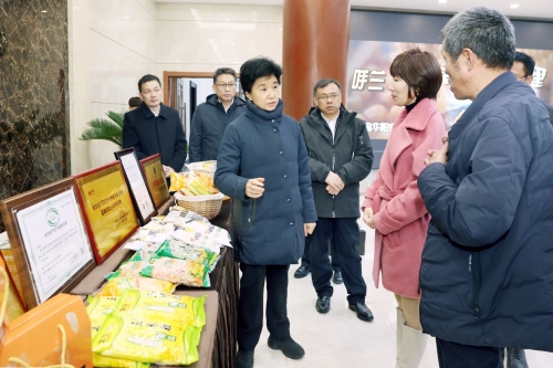 ΢ͼƬ_20231115110431