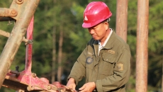 �����-(�й�)��������,��������