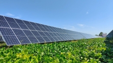 �����-(�й�)��������,��������