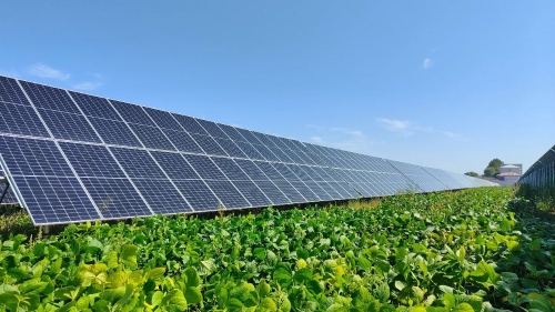 ΢��ͼƬ_20240416182038