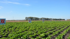 �����-(�й�)��������,��������