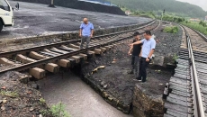 �����-(�й�)��������,��������