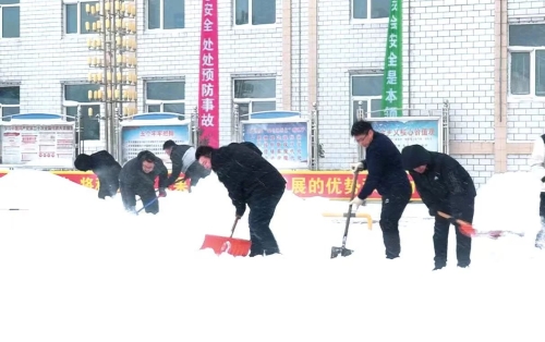 ΢ͼƬ_20250210094532